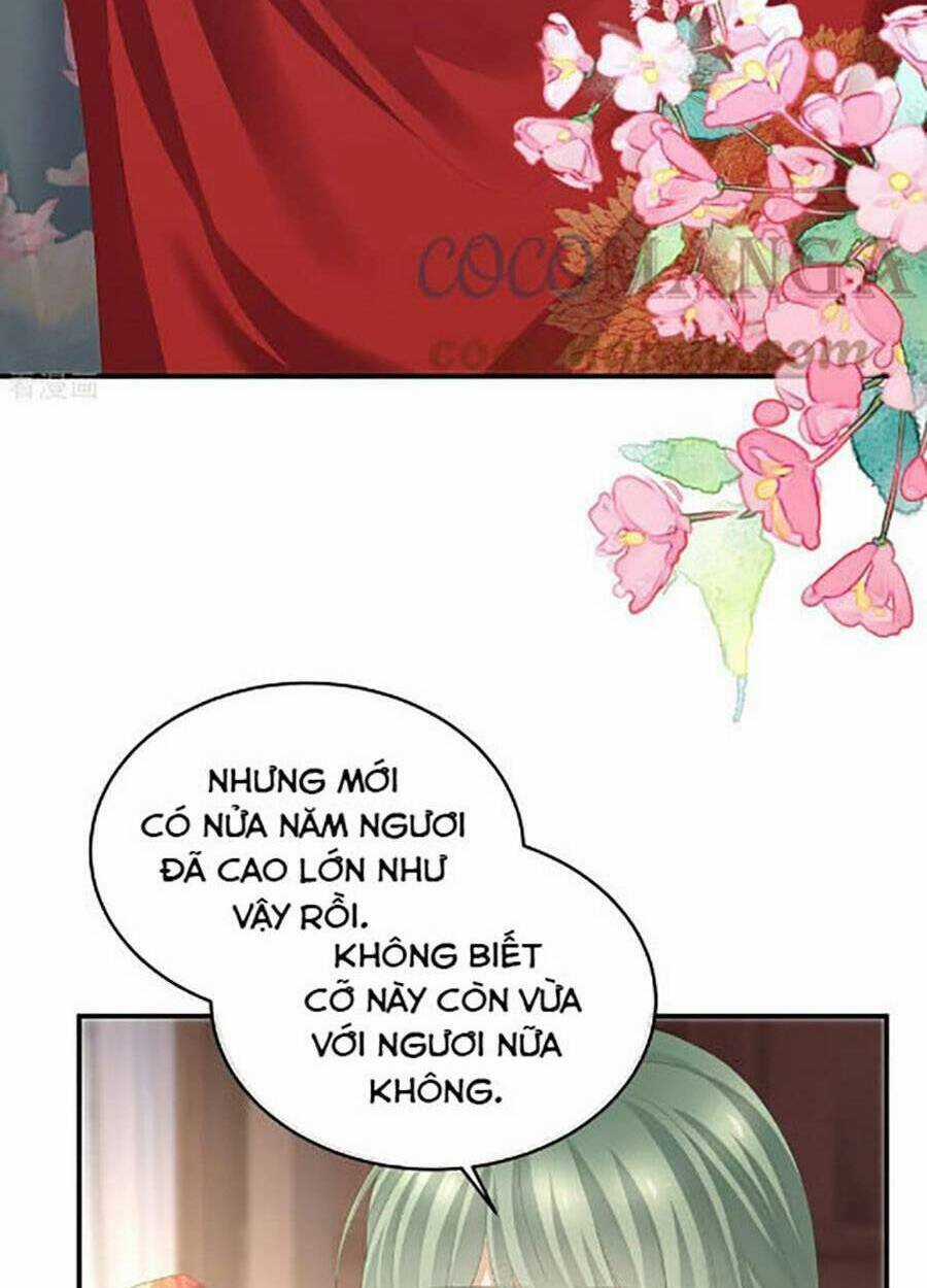 Hậu Cung Của Nữ Đế Chapter 296 trang 29