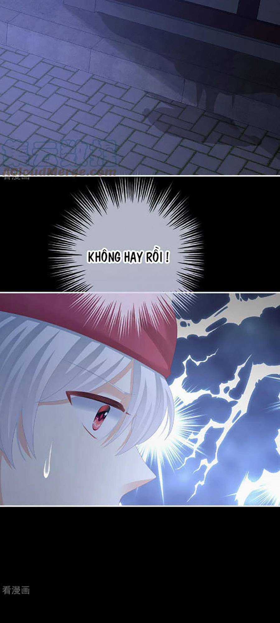 Hậu Cung Của Nữ Đế Chapter 297 trang 11