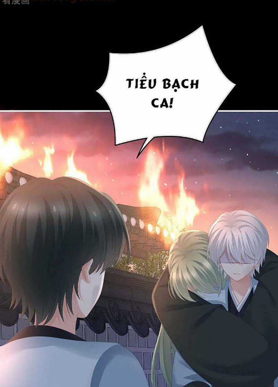 Hậu Cung Của Nữ Đế Chapter 298 trang 29