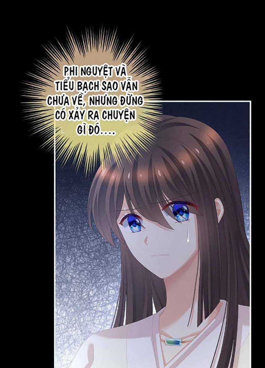 Hậu Cung Của Nữ Đế Chapter 299 trang 16