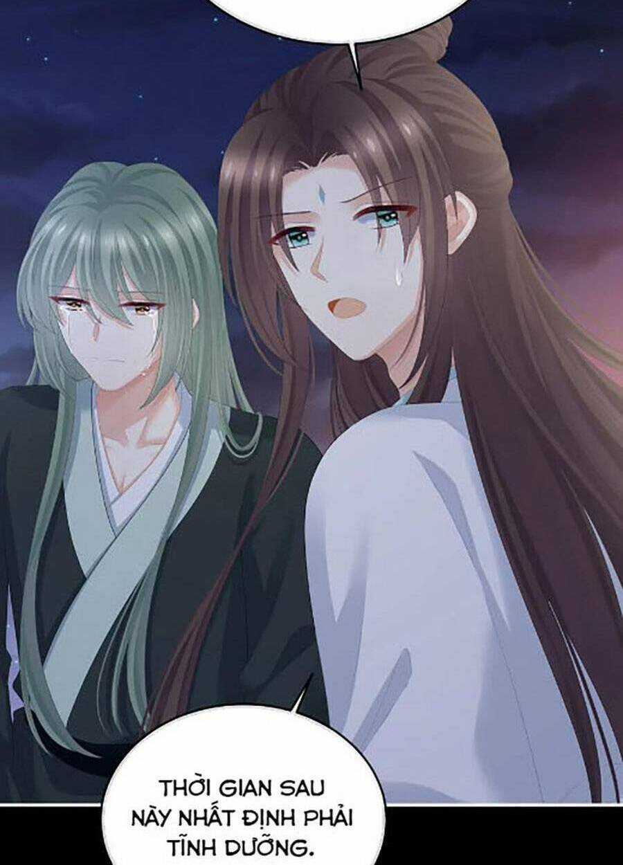 Hậu Cung Của Nữ Đế Chapter 299 trang 32