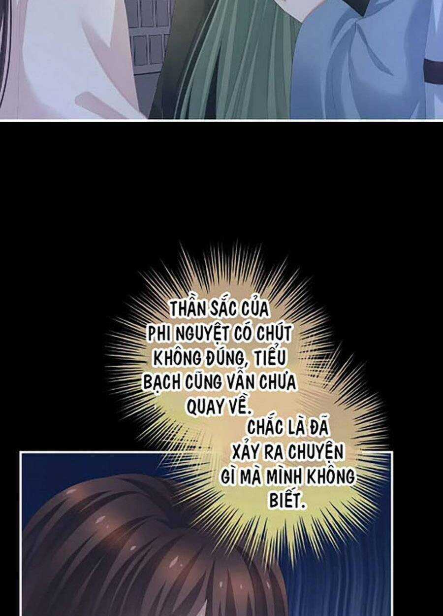 Hậu Cung Của Nữ Đế Chapter 299 trang 34
