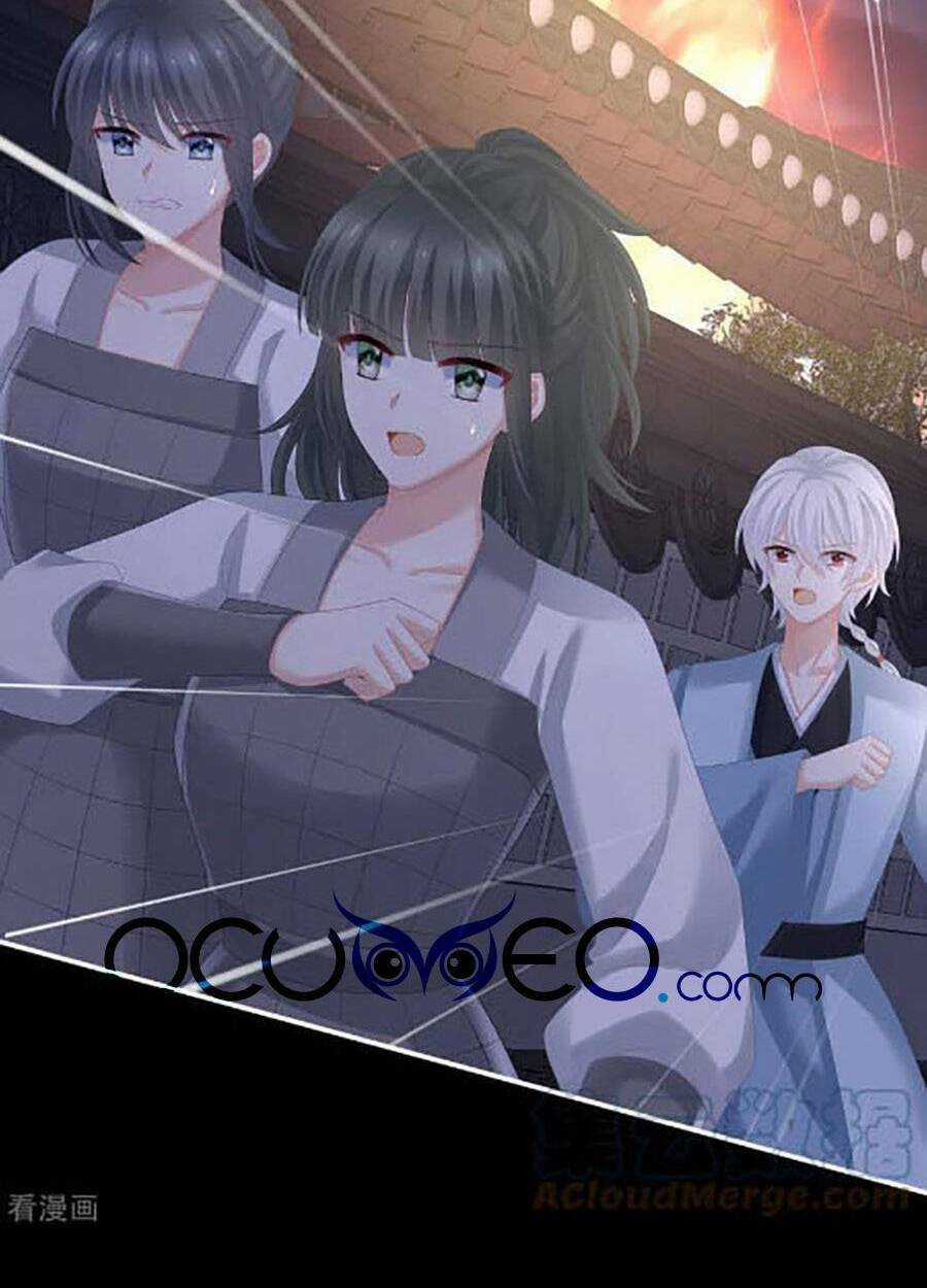 Hậu Cung Của Nữ Đế Chapter 299 trang 7