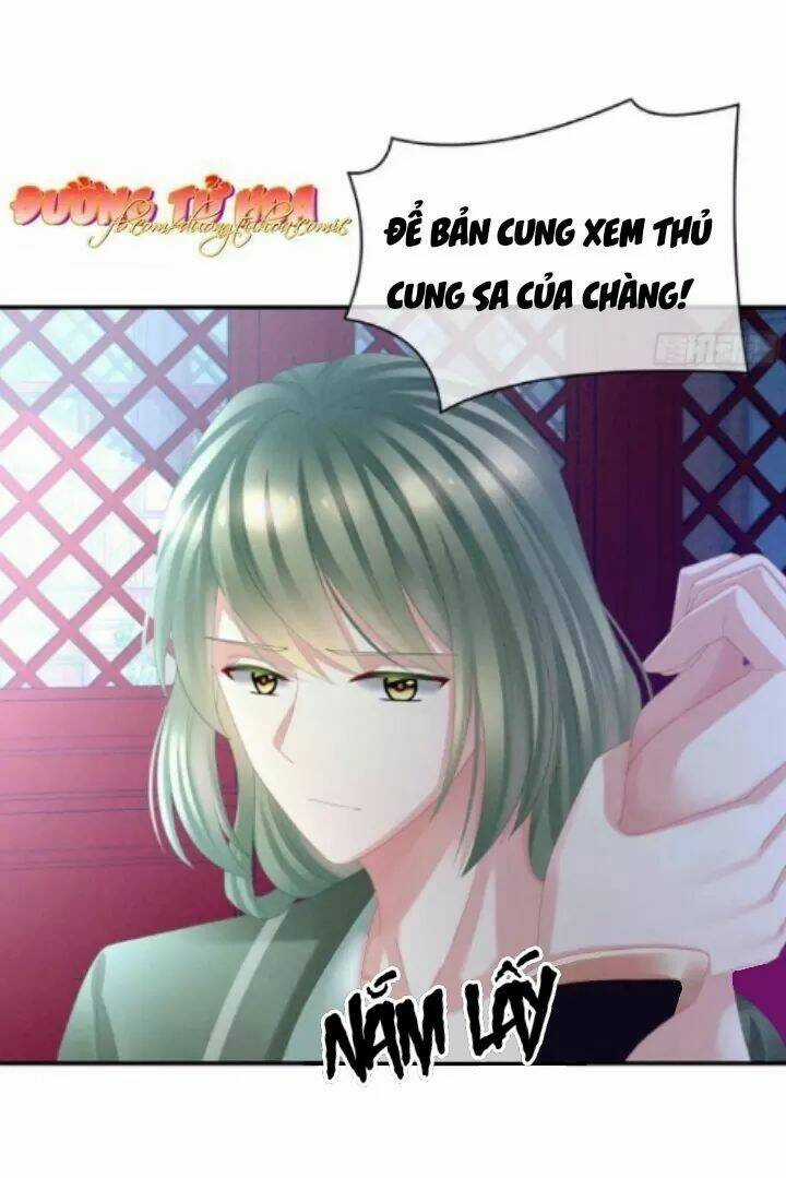 Hậu Cung Của Nữ Đế Chapter 30 trang 5