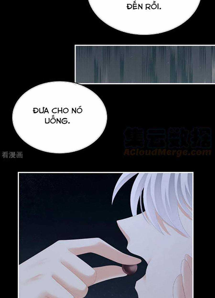 Hậu Cung Của Nữ Đế Chapter 300 trang 21