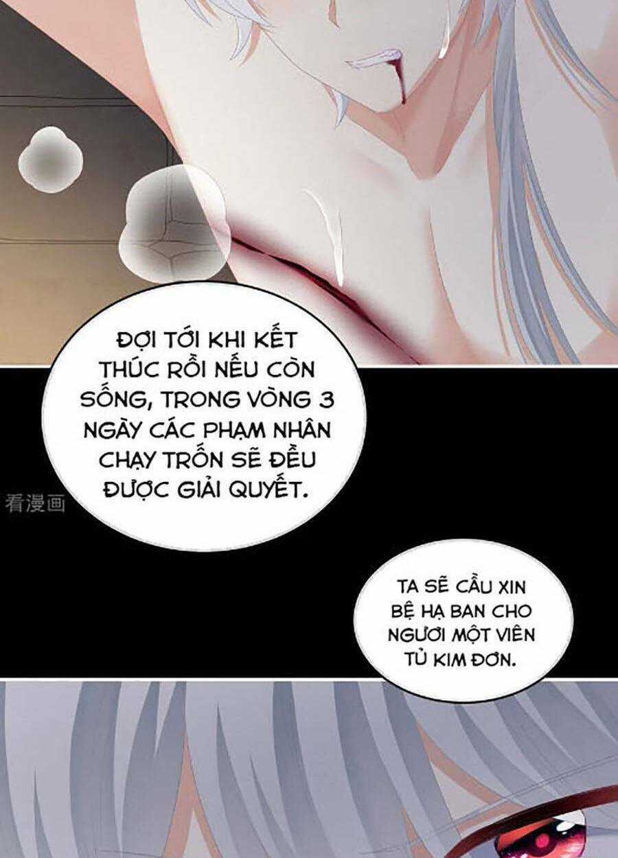Hậu Cung Của Nữ Đế Chapter 300 trang 28