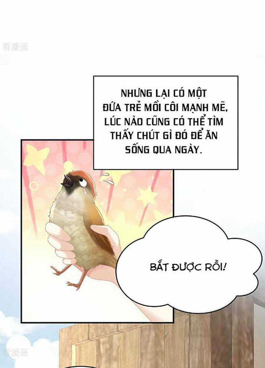 Hậu Cung Của Nữ Đế Chapter 300 trang 36