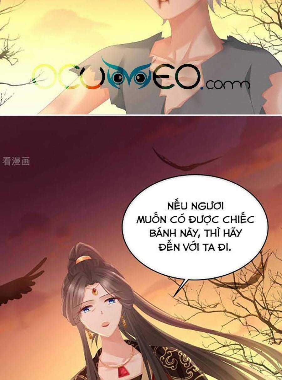 Hậu Cung Của Nữ Đế Chapter 301 trang 52