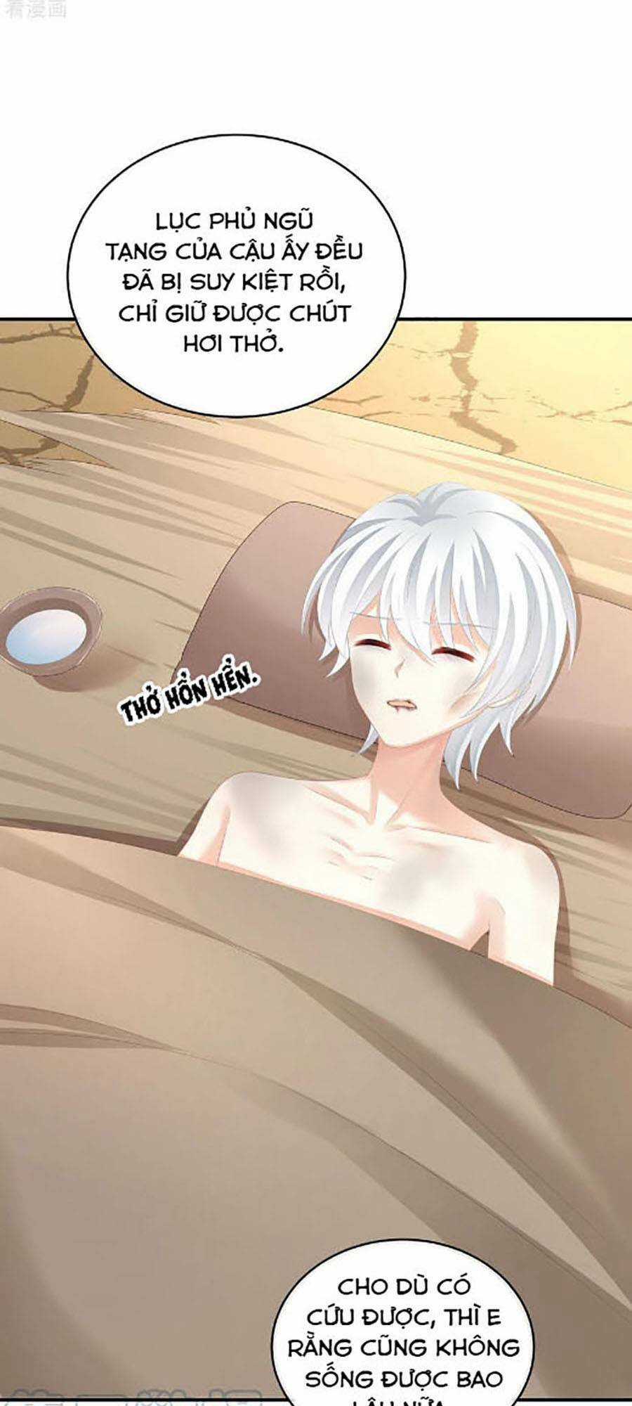 Hậu Cung Của Nữ Đế Chapter 302 trang 0