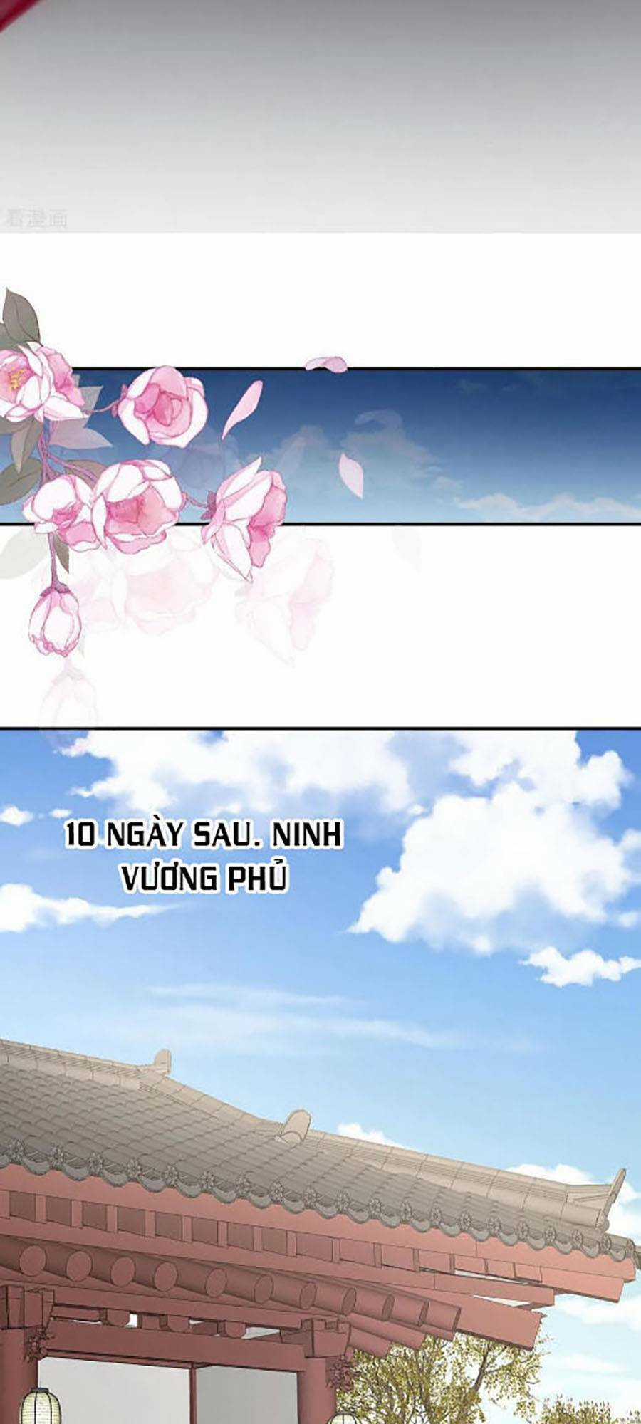 Hậu Cung Của Nữ Đế Chapter 302 trang 12