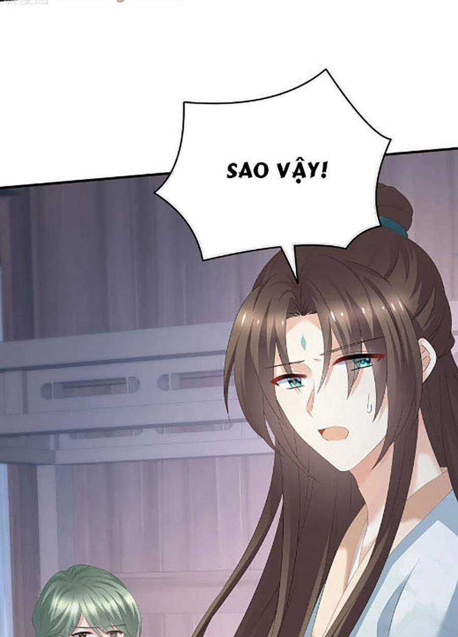Hậu Cung Của Nữ Đế Chapter 303 trang 42