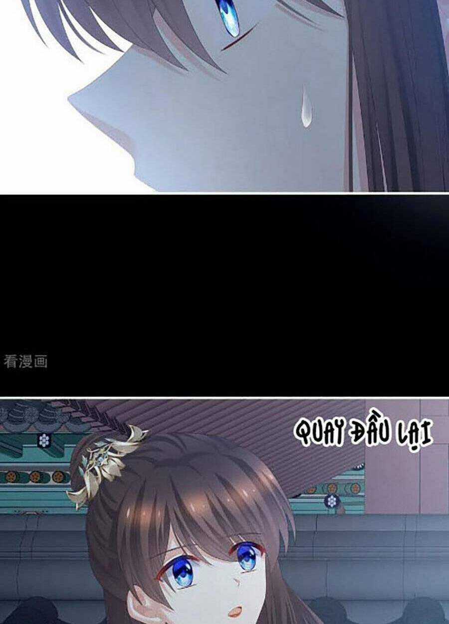 Hậu Cung Của Nữ Đế Chapter 303 trang 8