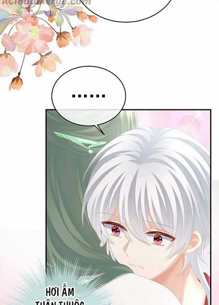 Hậu Cung Của Nữ Đế Chapter 304 trang 24