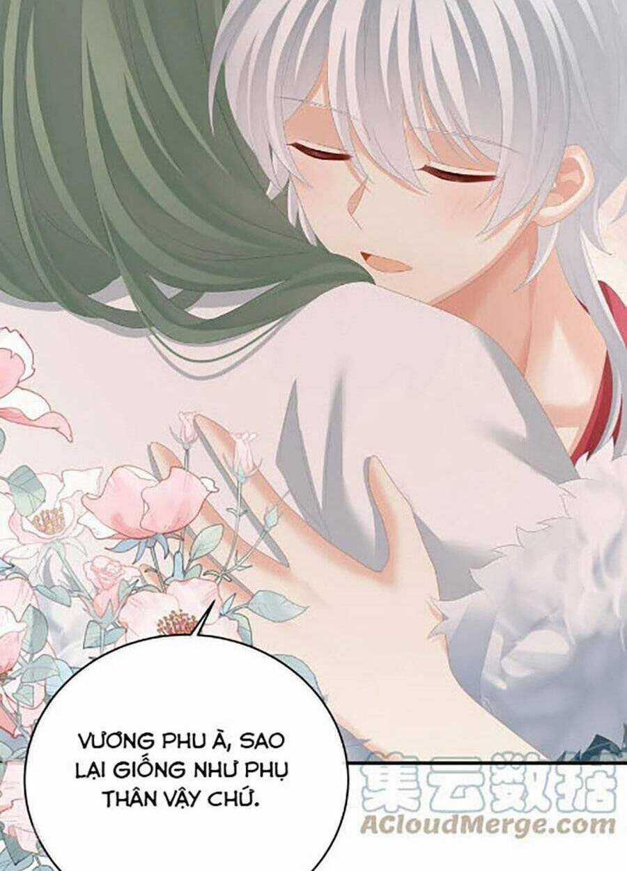 Hậu Cung Của Nữ Đế Chapter 304 trang 26
