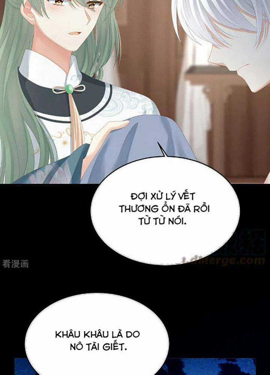 Hậu Cung Của Nữ Đế Chapter 304 trang 4