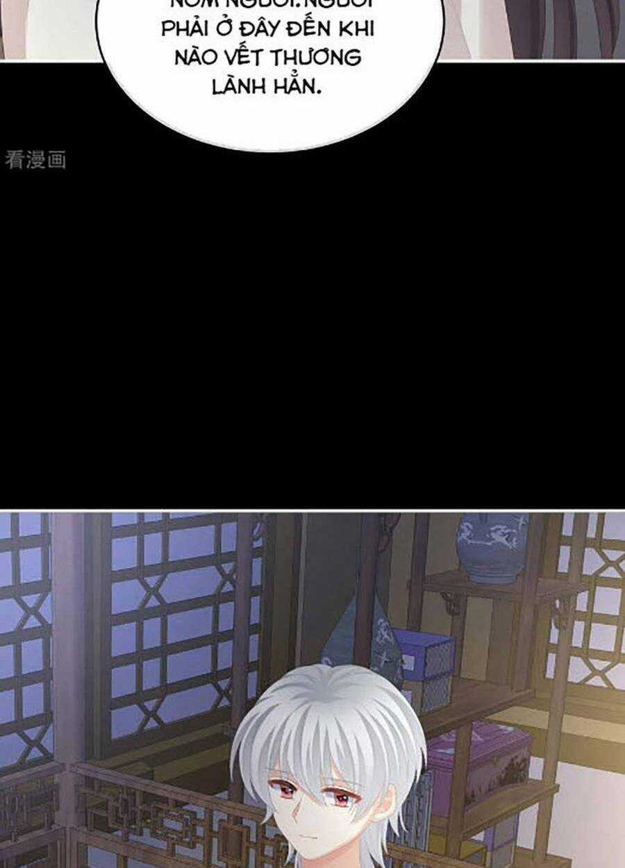 Hậu Cung Của Nữ Đế Chapter 304 trang 45