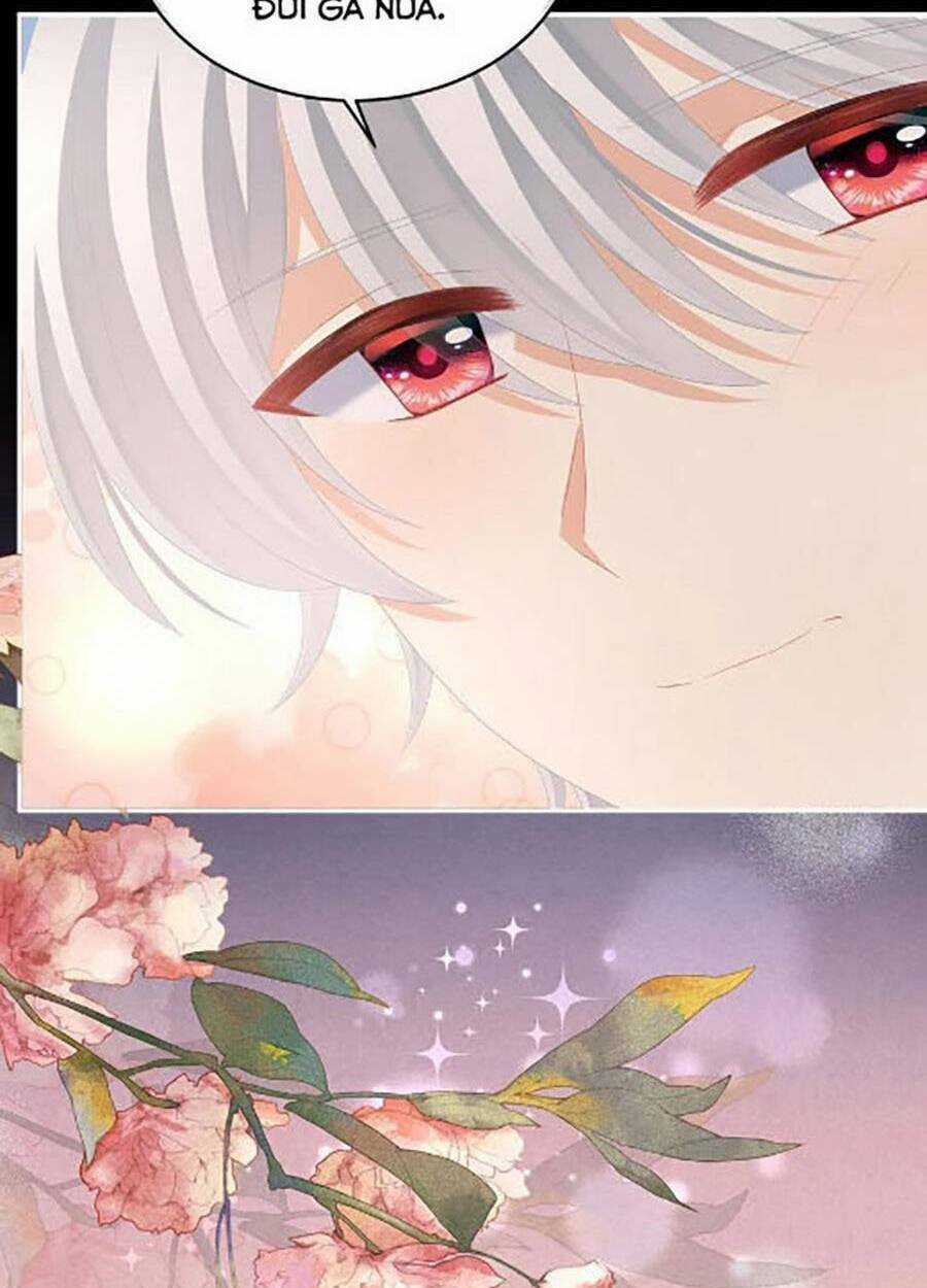 Hậu Cung Của Nữ Đế Chapter 304 trang 50