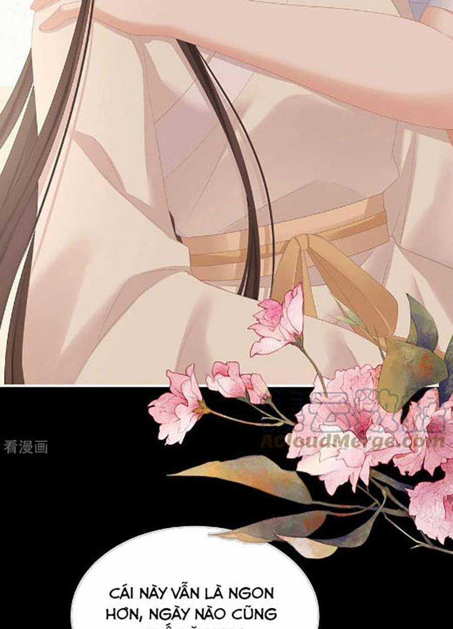 Hậu Cung Của Nữ Đế Chapter 304 trang 52