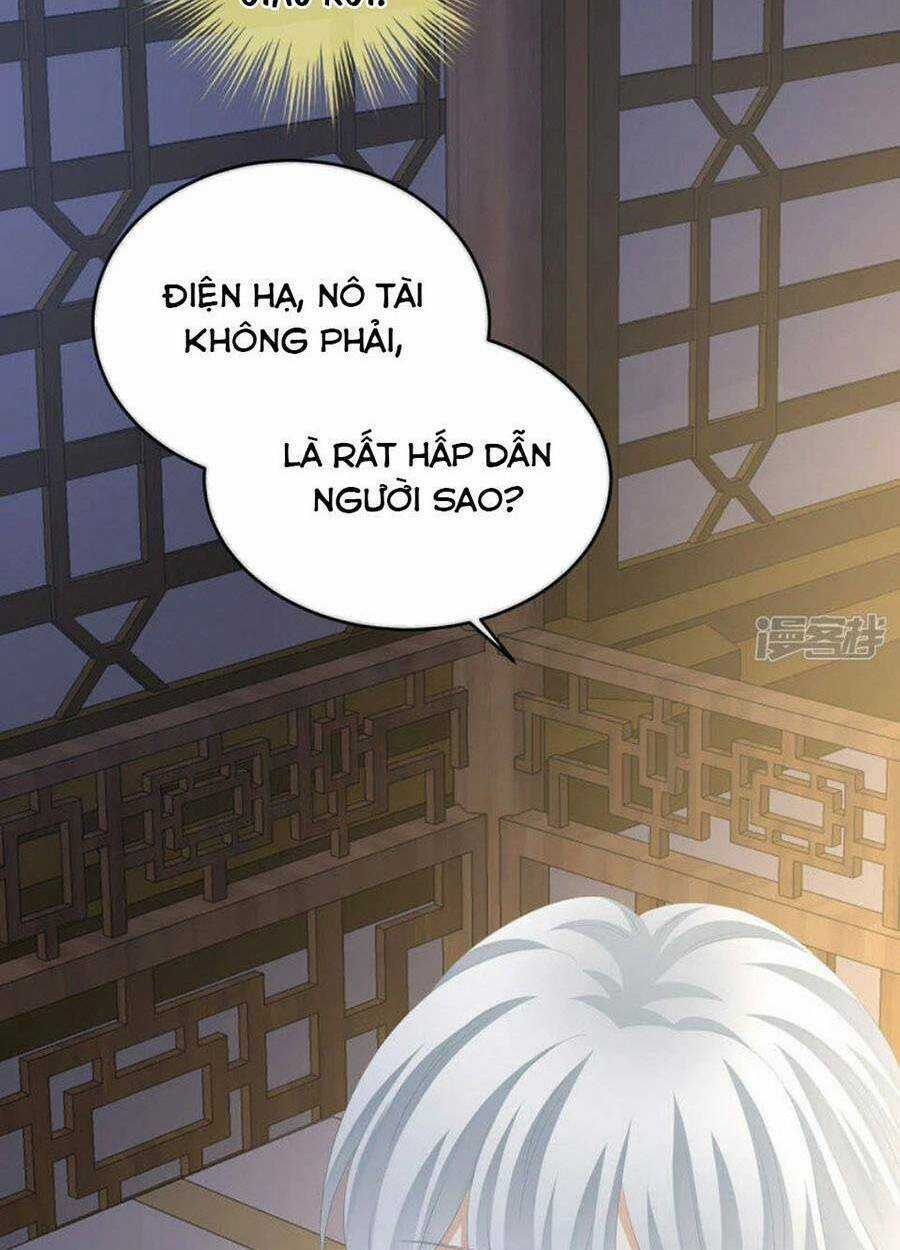 Hậu Cung Của Nữ Đế Chapter 305 trang 23