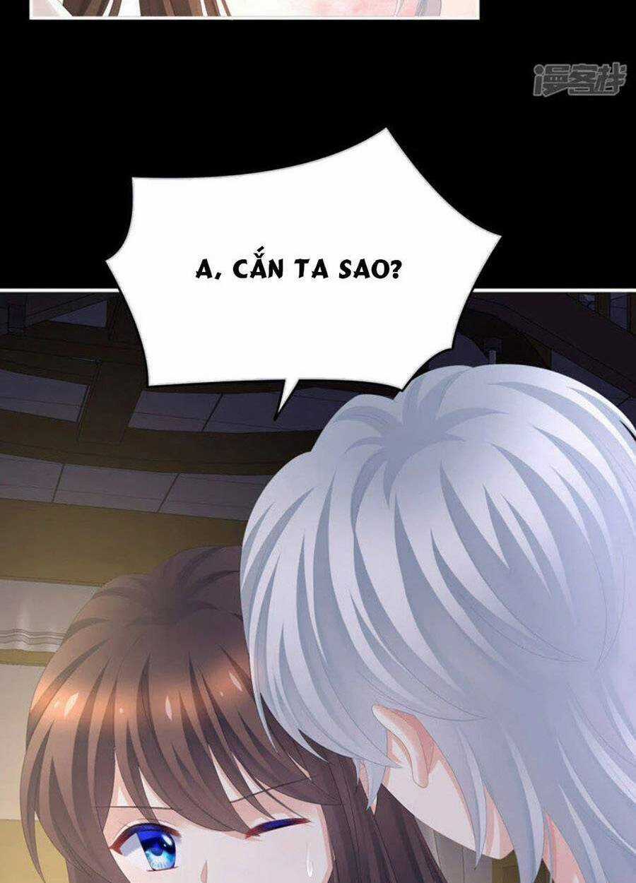 Hậu Cung Của Nữ Đế Chapter 306 trang 30