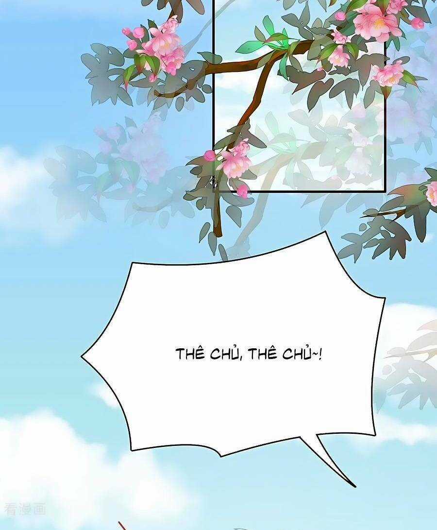 Hậu Cung Của Nữ Đế Chapter 314 trang 24