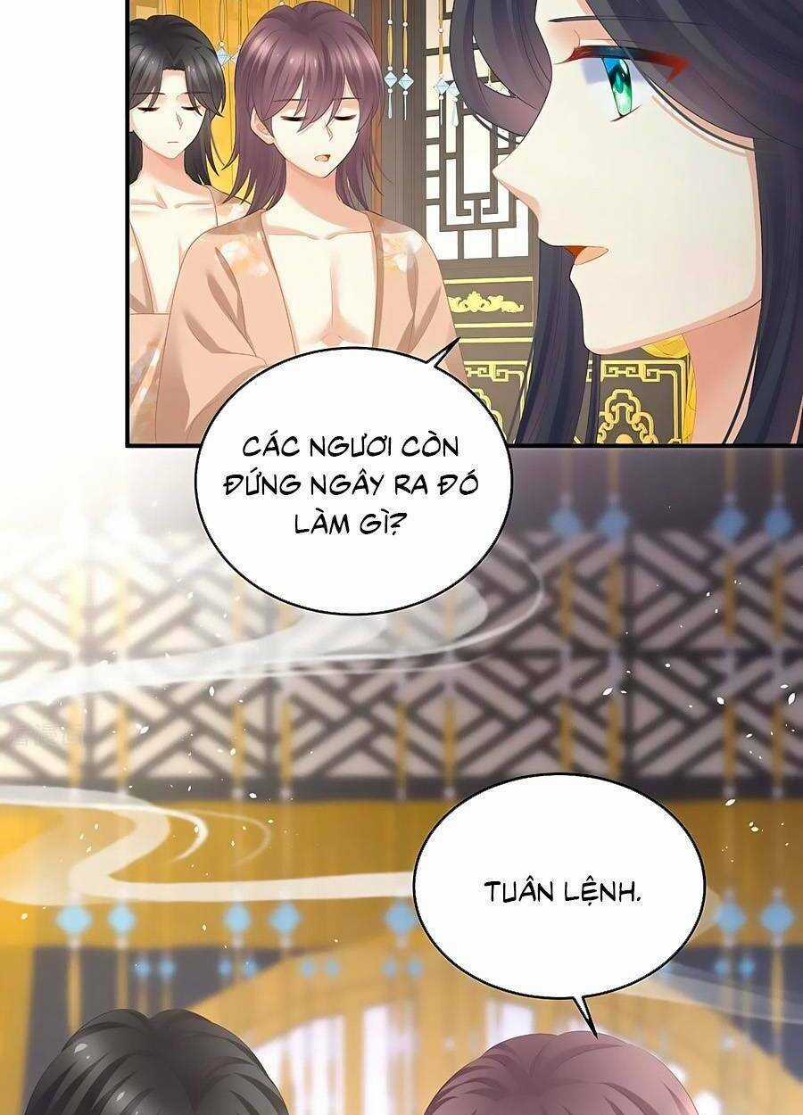 Hậu Cung Của Nữ Đế Chapter 314 trang 52