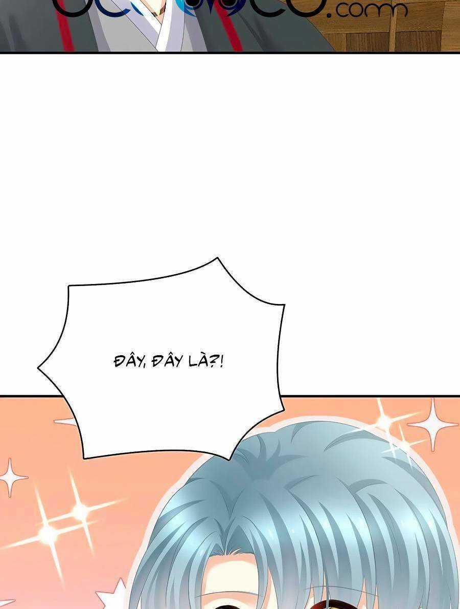 Hậu Cung Của Nữ Đế Chapter 317 trang 17