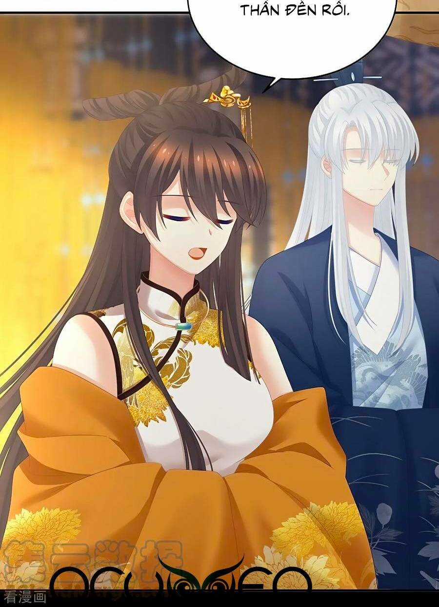 Hậu Cung Của Nữ Đế Chapter 319 trang 29