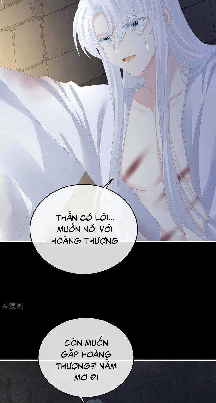 Hậu Cung Của Nữ Đế Chapter 325 trang 12