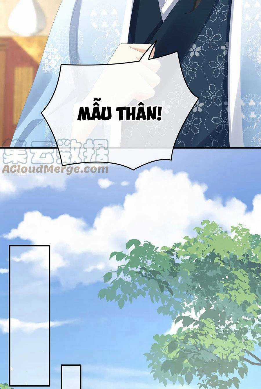 Hậu Cung Của Nữ Đế Chapter 326 trang 41