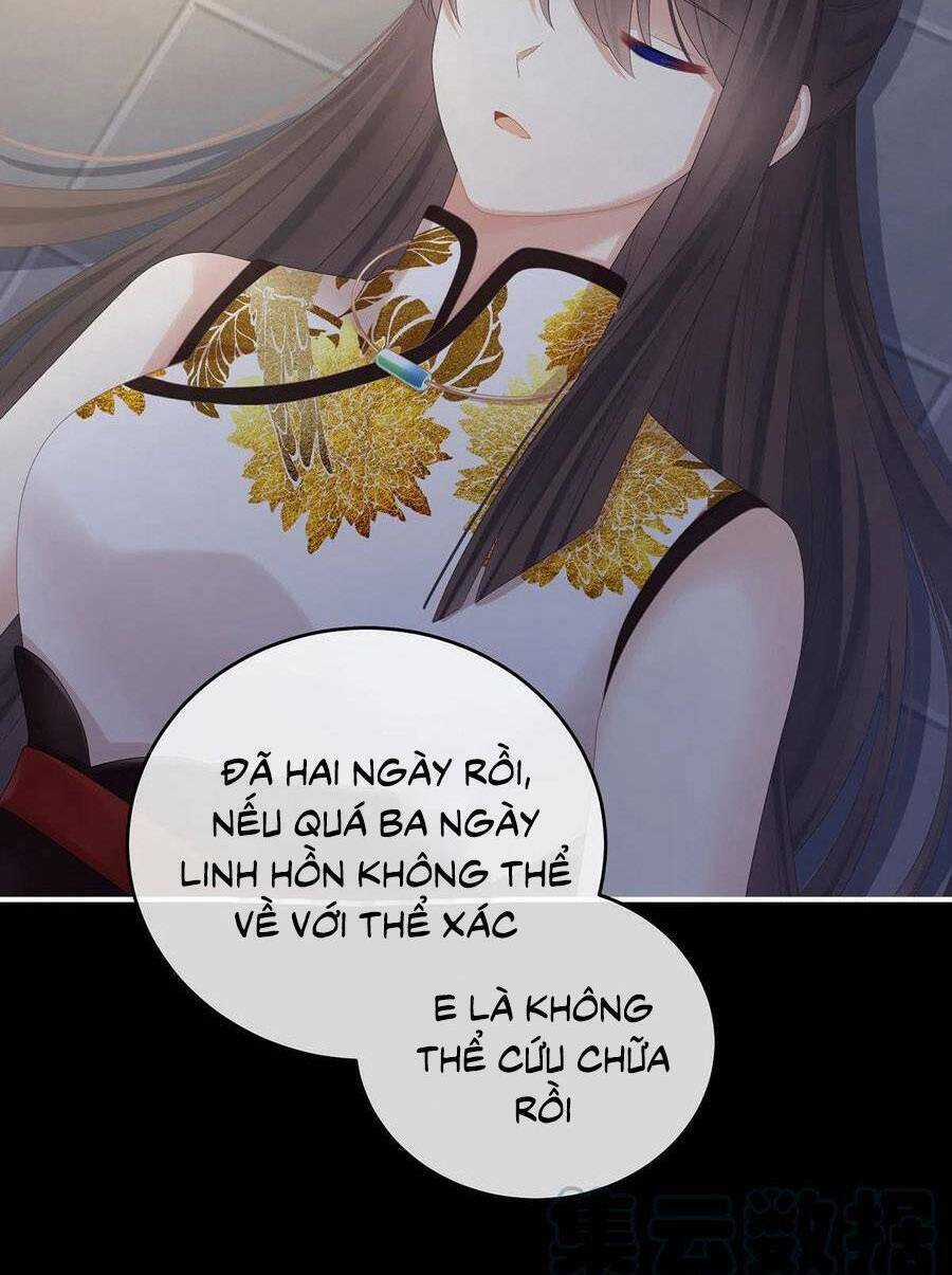 Hậu Cung Của Nữ Đế Chapter 327 trang 17