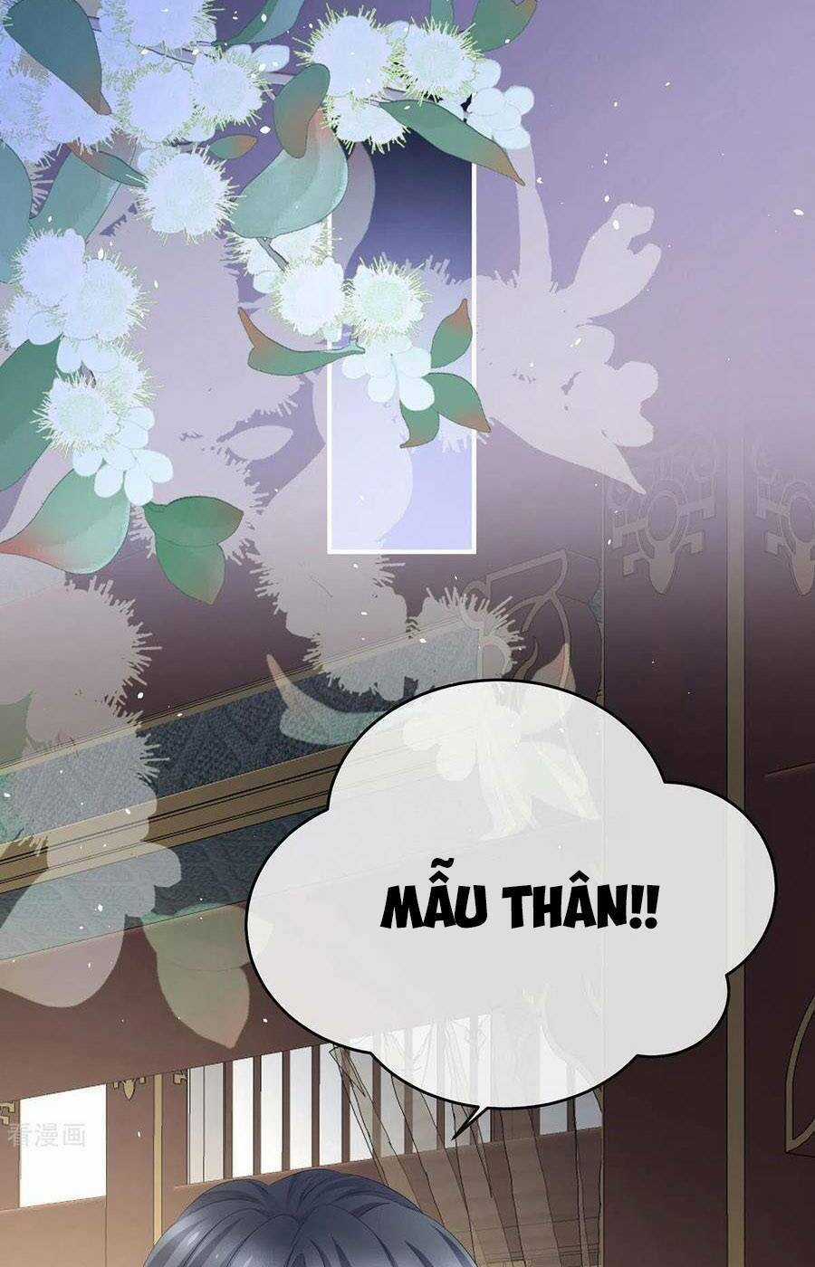 Hậu Cung Của Nữ Đế Chapter 328 trang 22