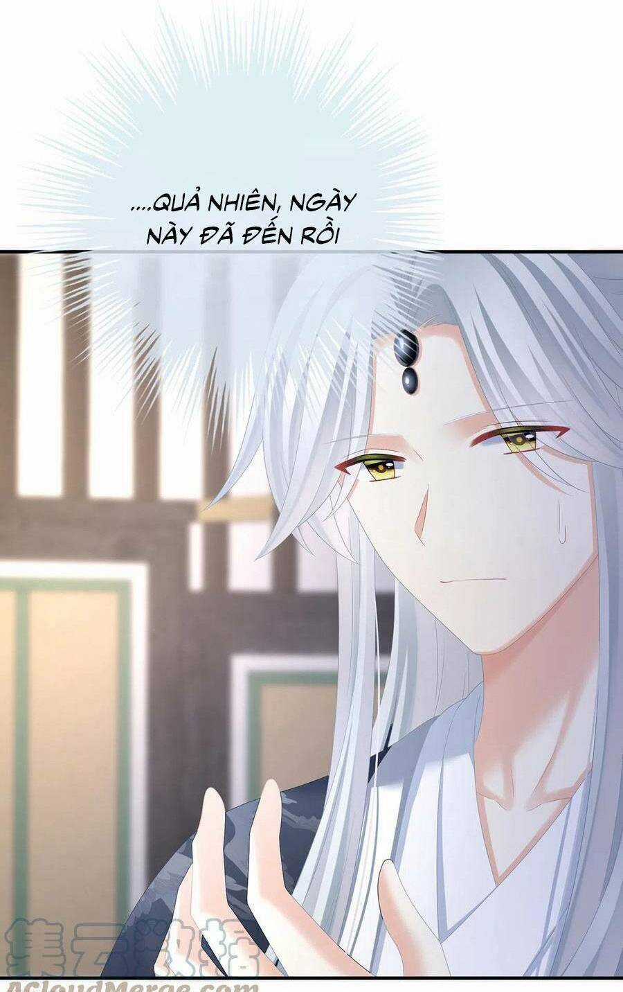 Hậu Cung Của Nữ Đế Chapter 331 trang 42