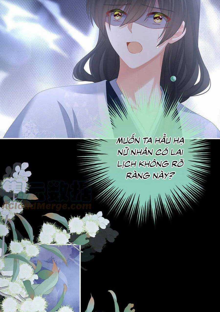Hậu Cung Của Nữ Đế Chapter 334 trang 35