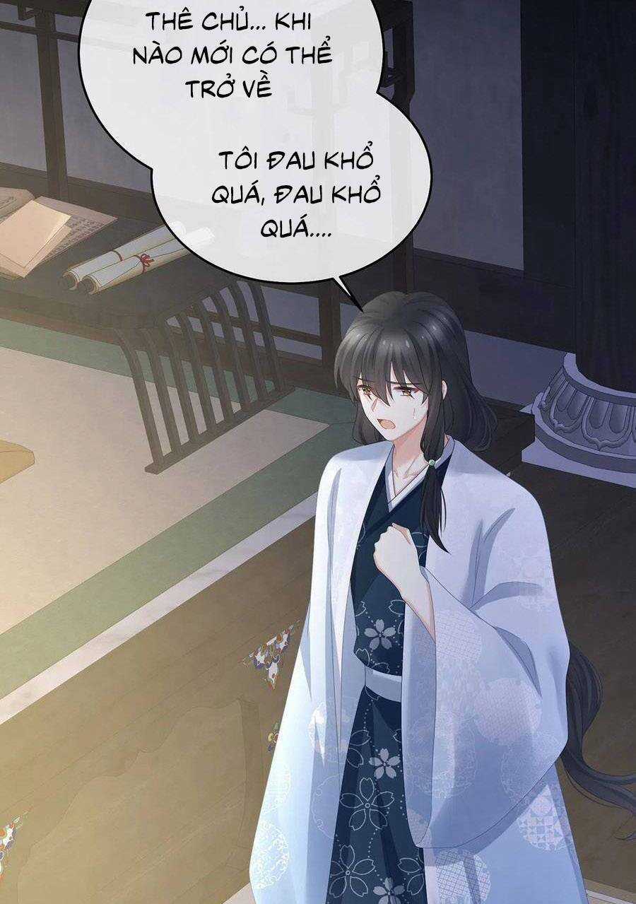 Hậu Cung Của Nữ Đế Chapter 334 trang 37