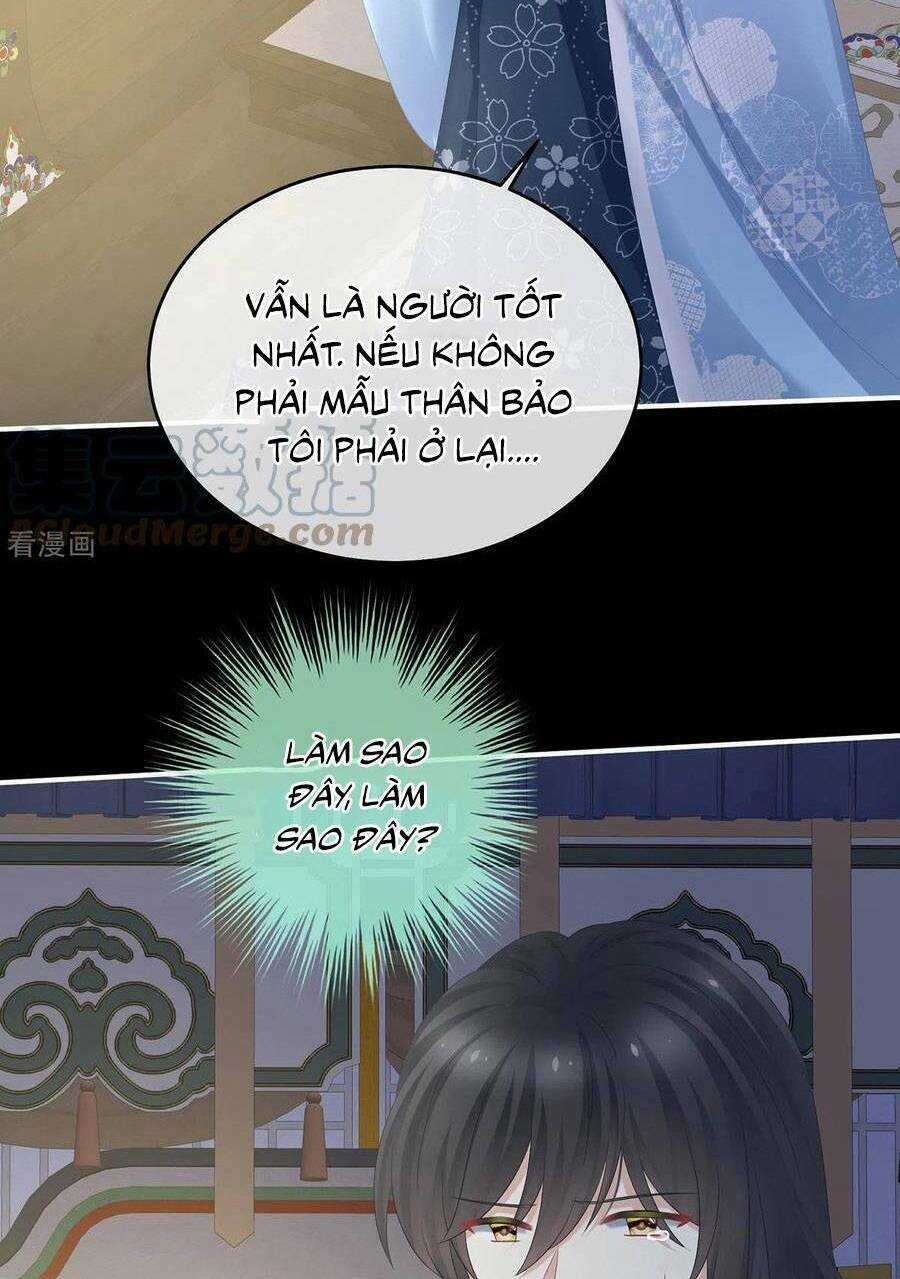 Hậu Cung Của Nữ Đế Chapter 334 trang 38