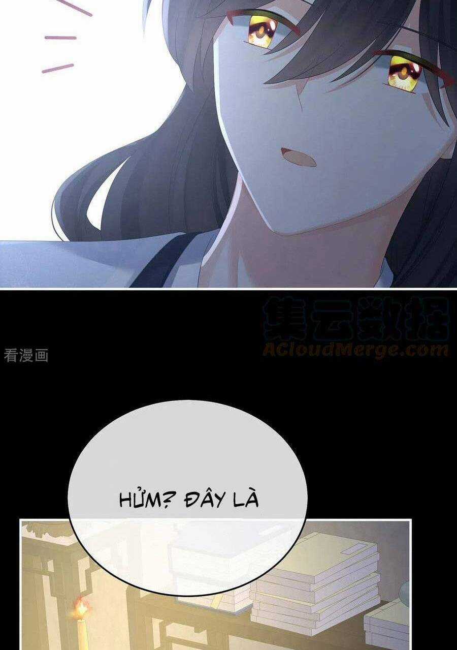 Hậu Cung Của Nữ Đế Chapter 334 trang 40
