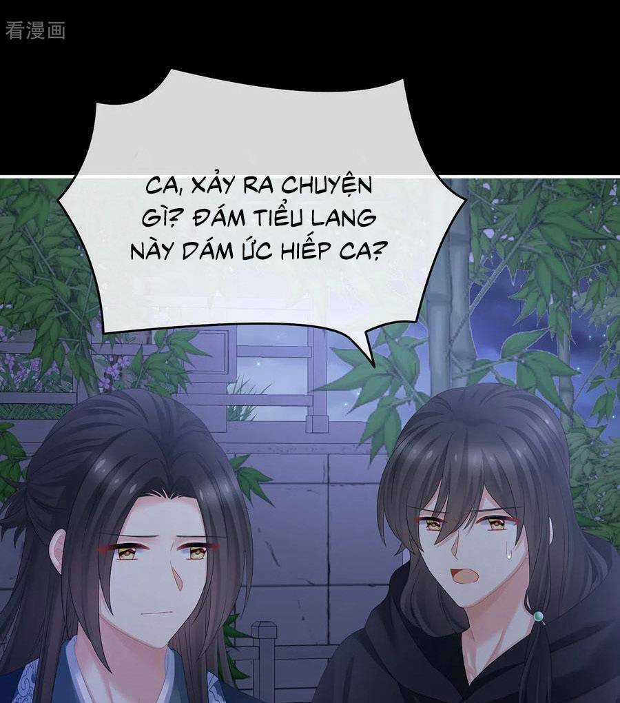 Hậu Cung Của Nữ Đế Chapter 335 trang 21