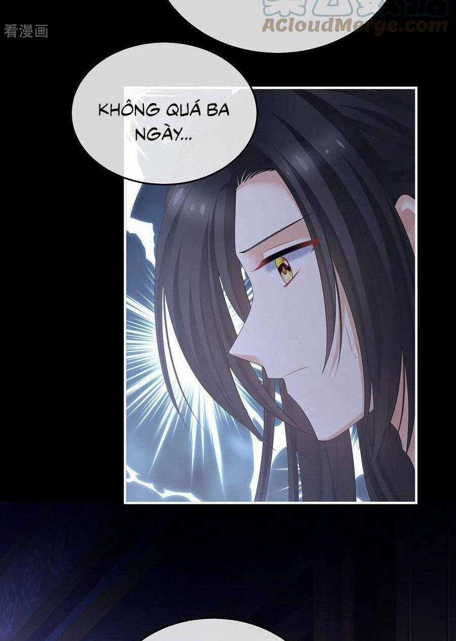 Hậu Cung Của Nữ Đế Chapter 335 trang 36