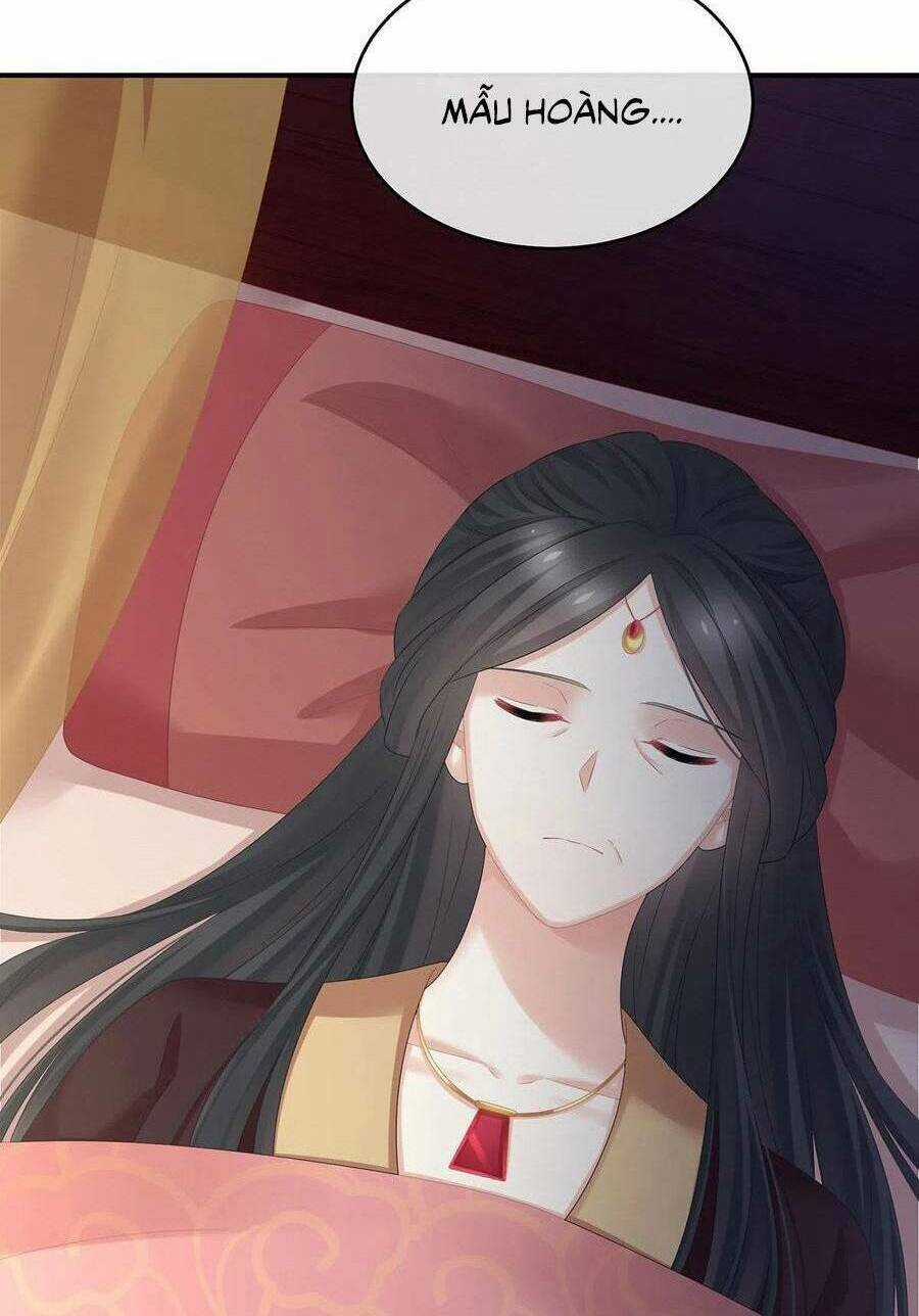 Hậu Cung Của Nữ Đế Chapter 336 trang 28