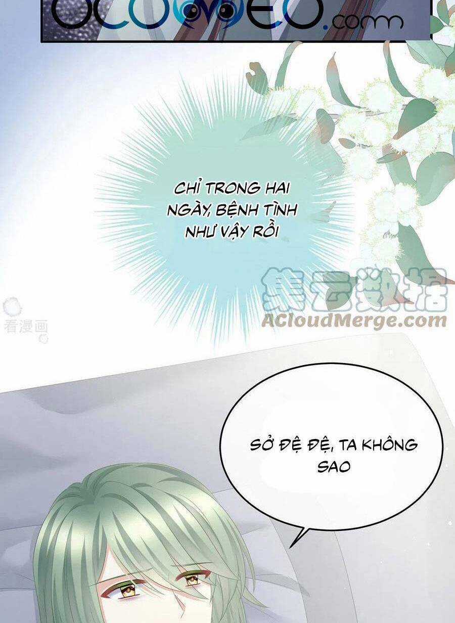 Hậu Cung Của Nữ Đế Chapter 336 trang 7