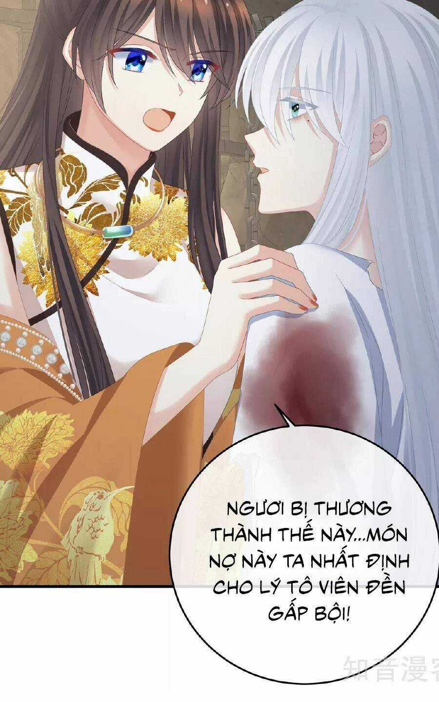 Hậu Cung Của Nữ Đế Chapter 337 trang 35