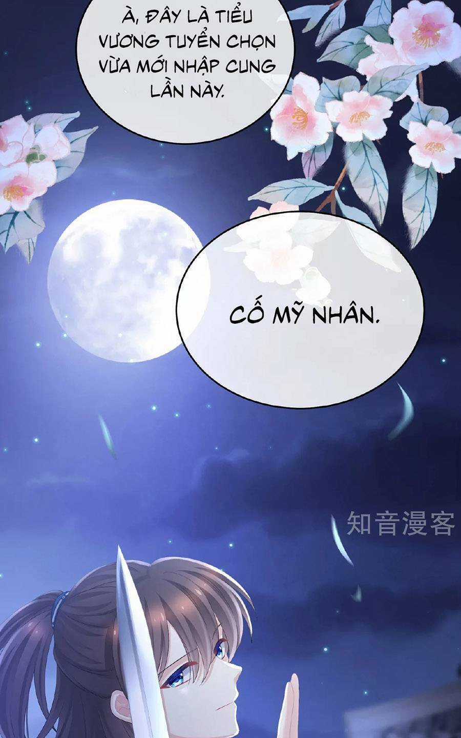 Hậu Cung Của Nữ Đế Chapter 339 trang 25