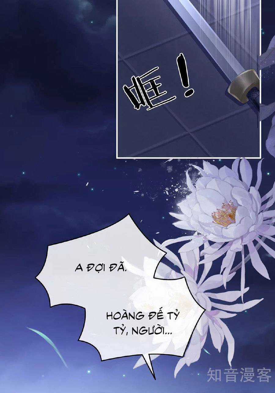 Hậu Cung Của Nữ Đế Chapter 339 trang 37