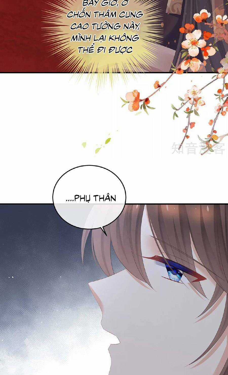 Hậu Cung Của Nữ Đế Chapter 341 trang 13