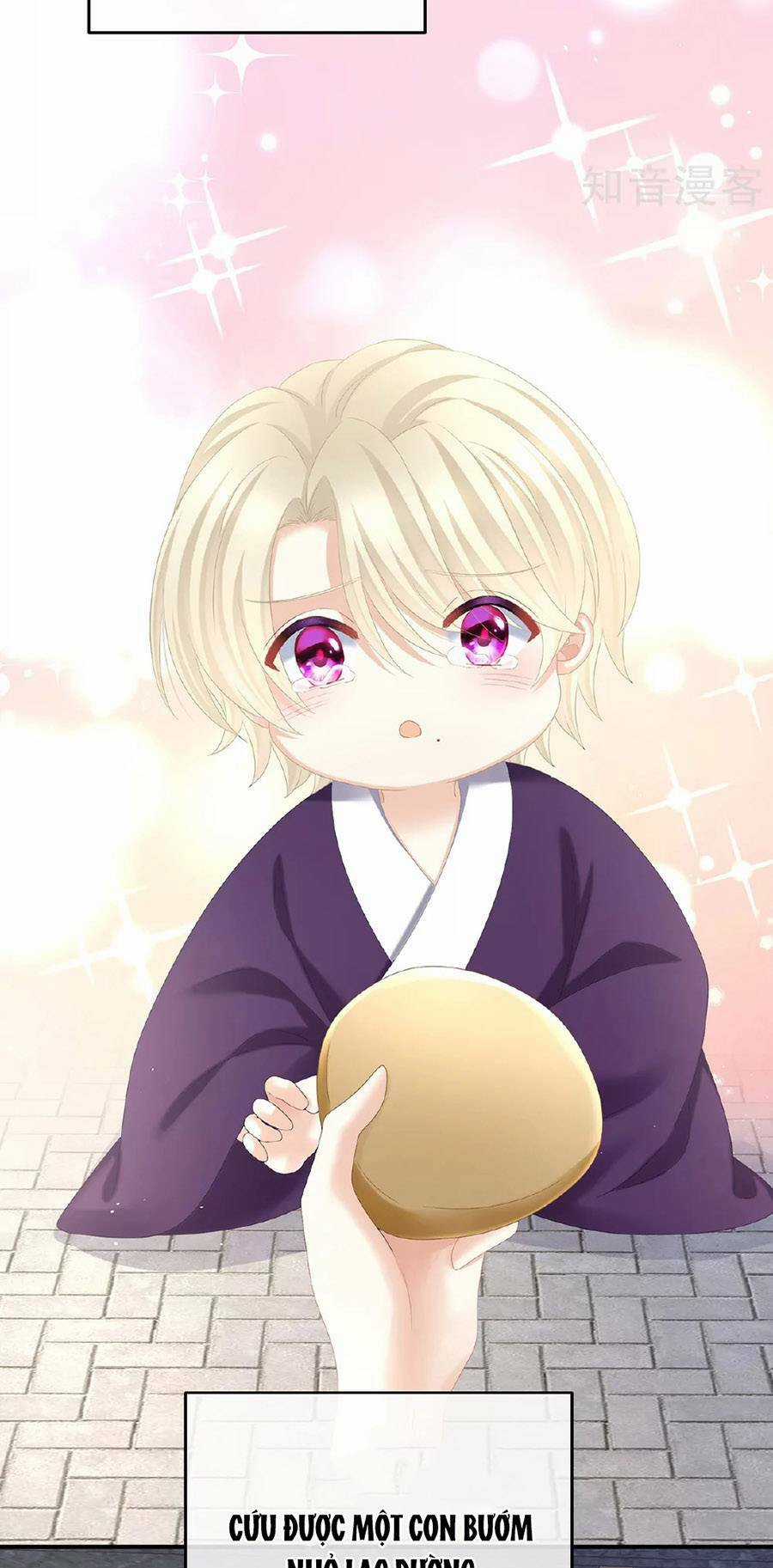 Hậu Cung Của Nữ Đế Chapter 342 trang 10