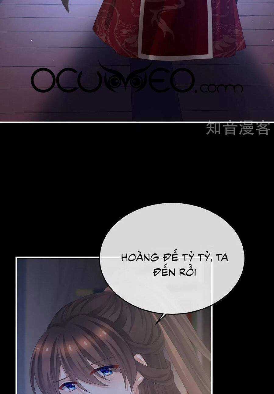 Hậu Cung Của Nữ Đế Chapter 343 trang 43