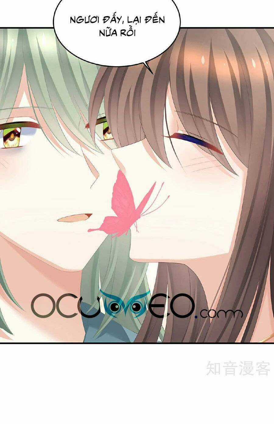 Hậu Cung Của Nữ Đế Chapter 345 trang 30