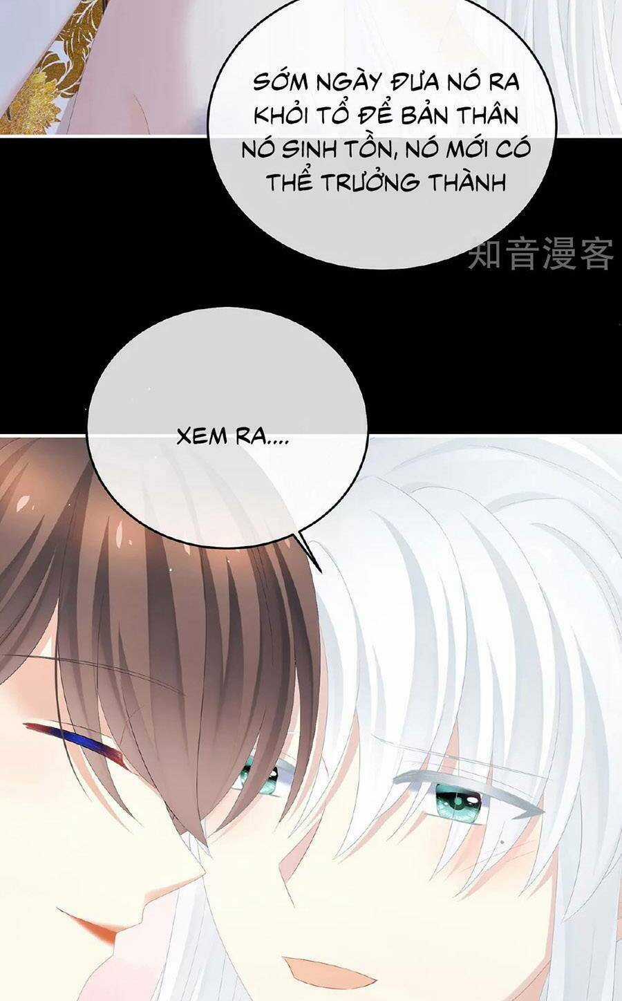 Hậu Cung Của Nữ Đế Chapter 347 trang 8