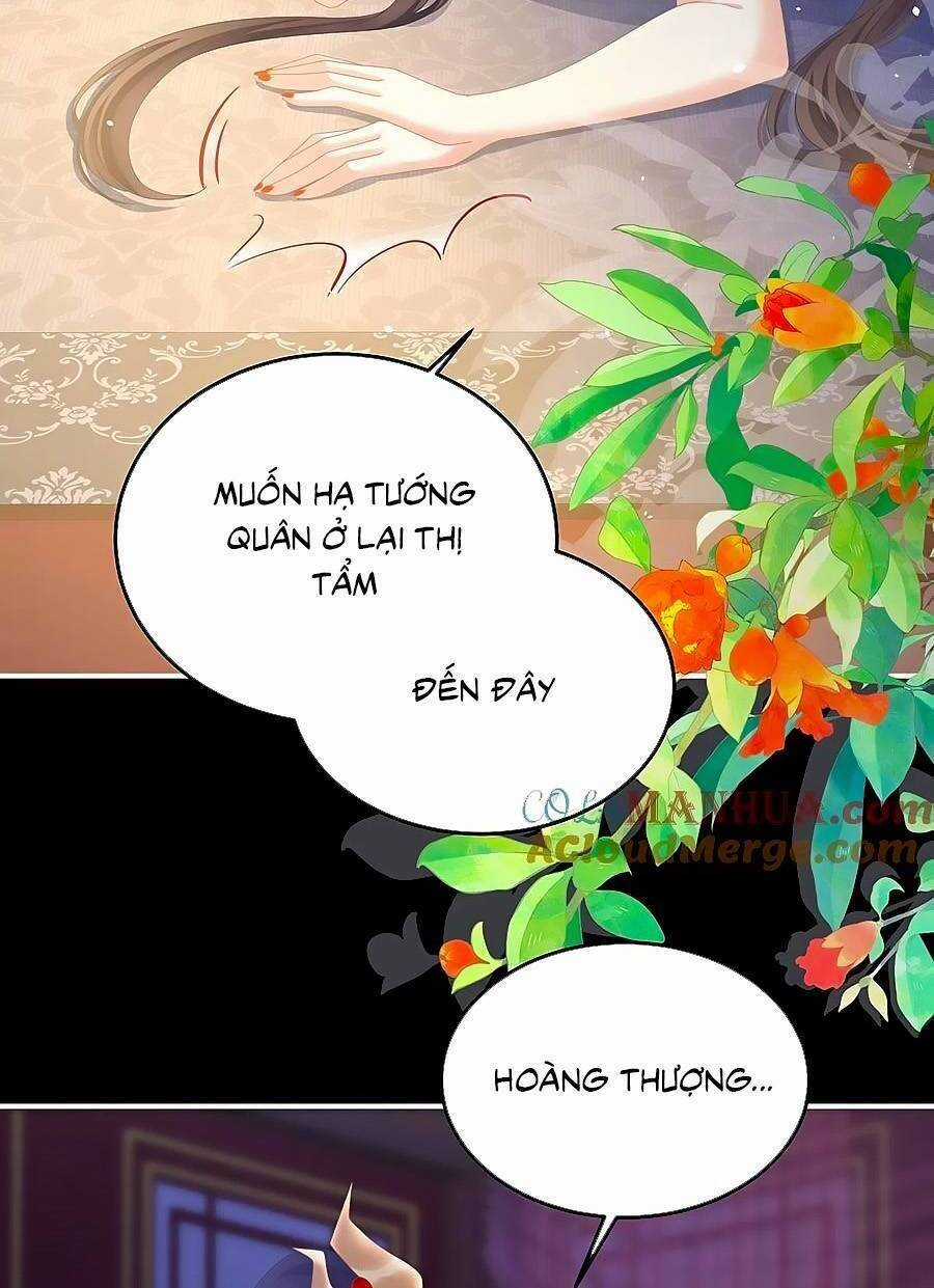 Hậu Cung Của Nữ Đế Chapter 354 trang 17